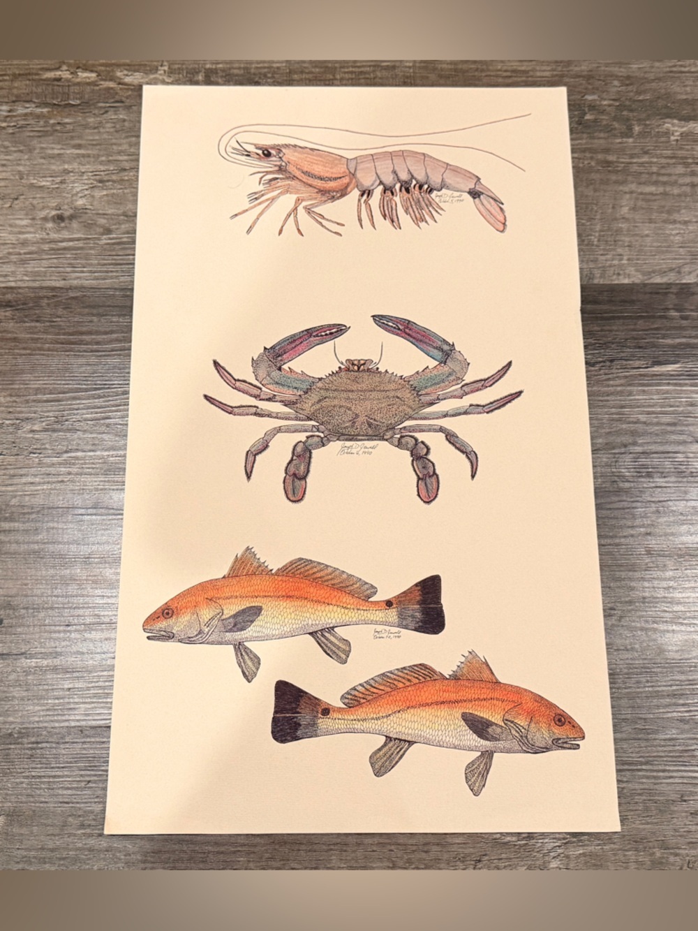 Mississippi Scientist Joseph Jewell Artwork